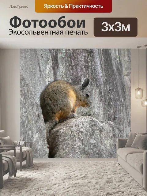 Фотообои Кролик