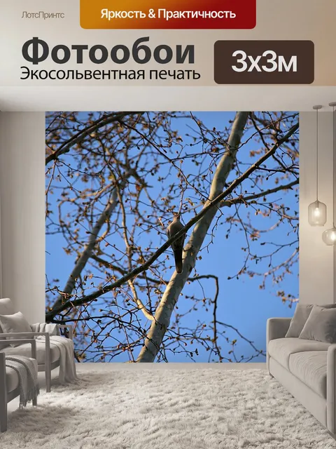 Фотообои Птица