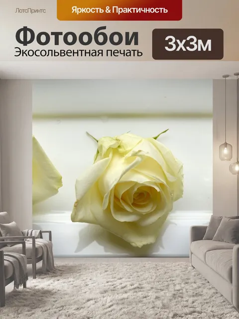 Фотообои Розы