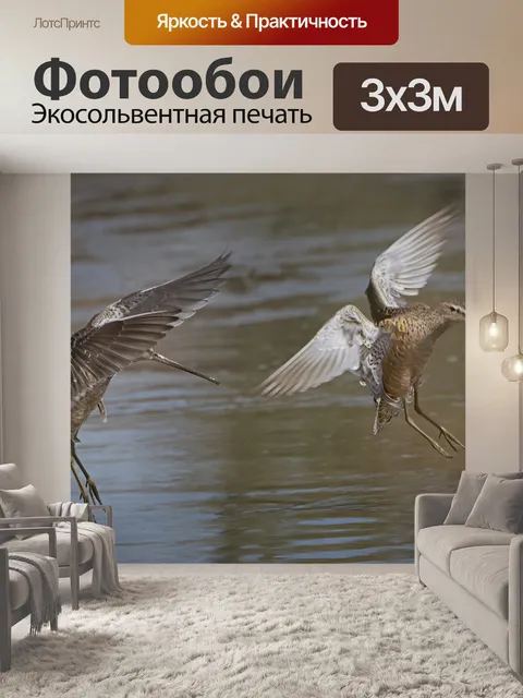 Фотообои Мраморный богинец