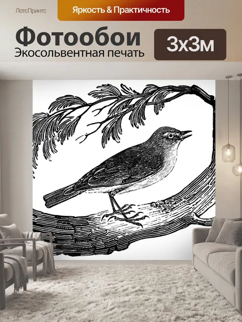 Фотообои Пеночка