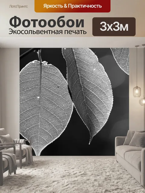 Фотообои Листья
