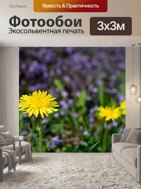Фотообои Осот огородный