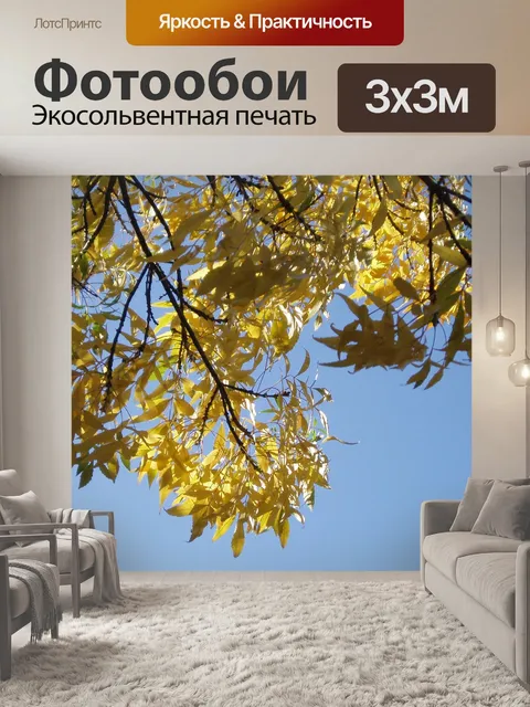 Фотообои Небо