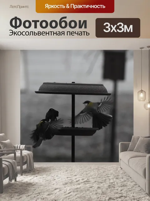 Фотообои Синица