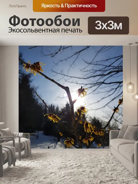 Фотообои Дерево