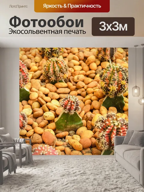 Фотообои Кактусовое пустынное растение