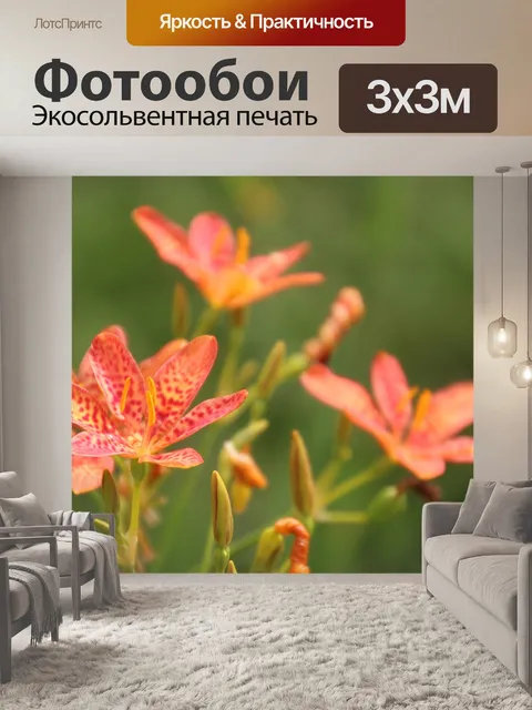 Фотообои Лили