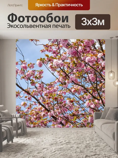 Фотообои Prunus serrulata