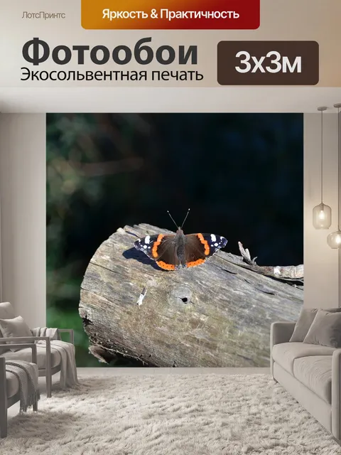Фотообои Бабочка