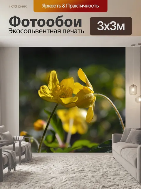 Фотообои Цветы