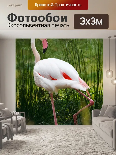 Фотообои Фламинго птица
