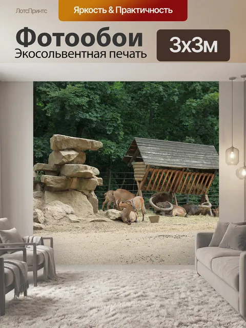 Фотообои Стадо