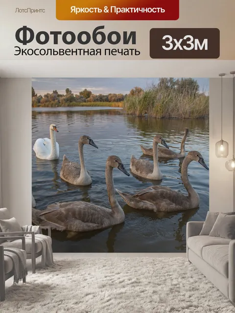 Фотообои Лебеди