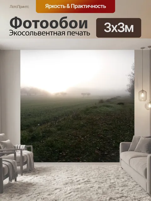 Фотообои Лес