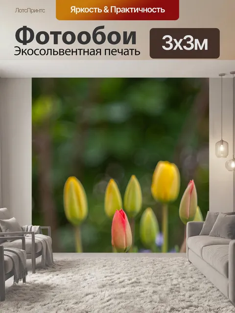 Фотообои Тюльпаны