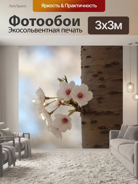 Фотообои Цветы