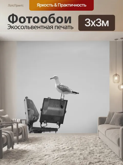 Фотообои Чайка на маяке