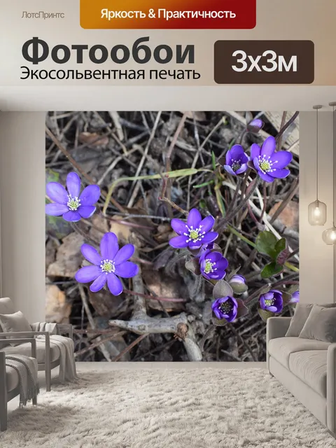 Фотообои Цветы