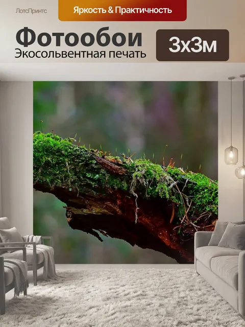 Фотообои Природа