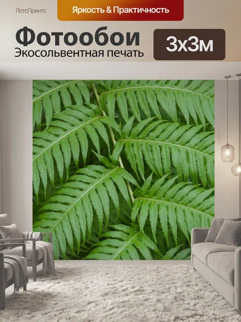 Фотообои Папоротник