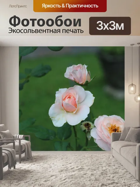 Фотообои Цветок