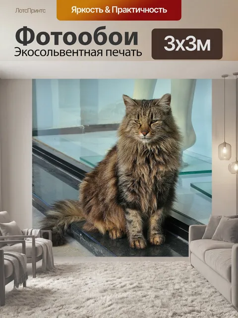 Фотообои Кошка