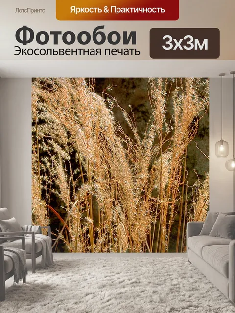 Фотообои Пшеничные стебли