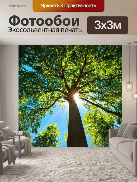 Фотообои дерево, устремленное вверх, как будто стремится стать частью небосвода