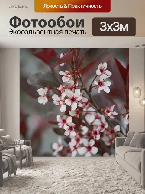Фотообои Цветы