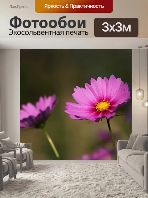 Фотообои Цветы космоса
