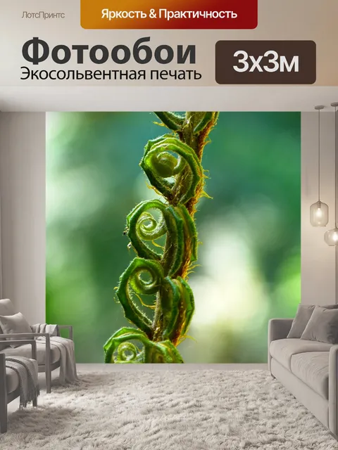 Фотообои Папоротник