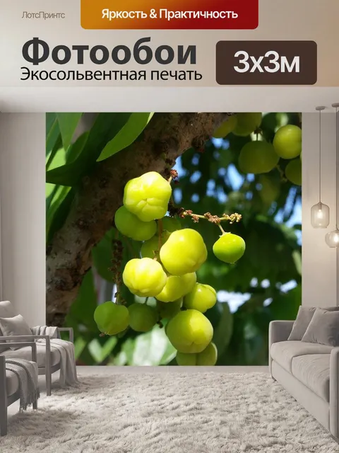 Фотообои Фрукты