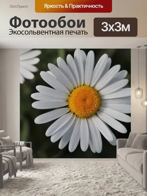 Фотообои Луг