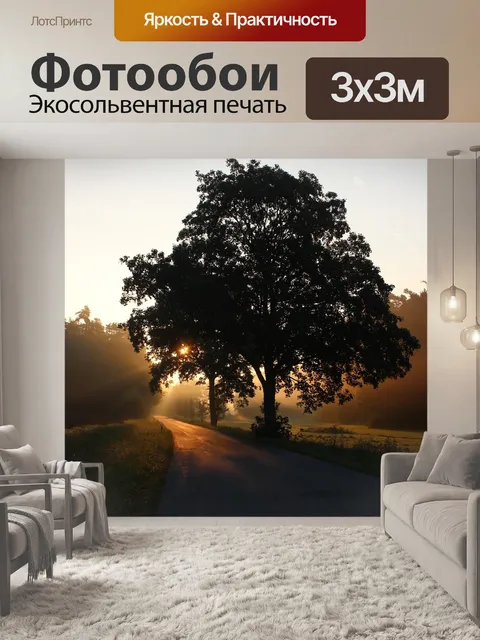 Фотообои Туманный