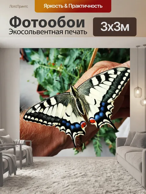 Фотообои Парусники бабочки