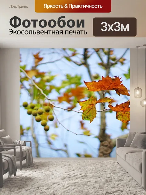 Фотообои Листья