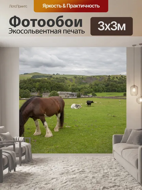Фотообои Домашняя лошадь