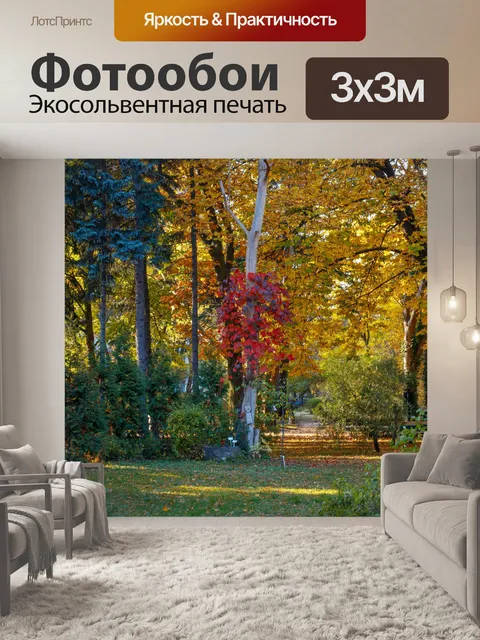 Фотообои Ботанический сад в Быдгоще