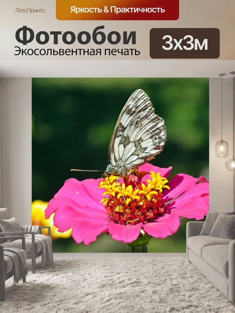 Фотообои Бабочка