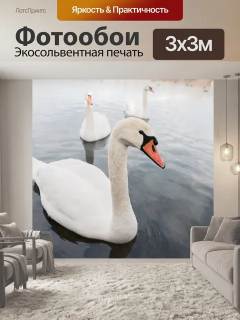 Фотообои Лебеди