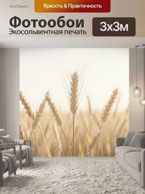 Фотообои Колосья пшеницы в поле