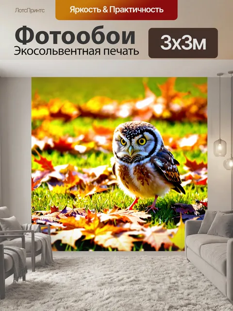 Фотообои совенок, ловящий мелких насекомых на осеннем солнечном лугу, его перья окрашены в теплые тона, а вокруг него…