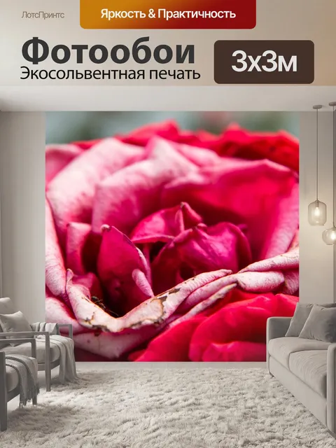 Фотообои Роза