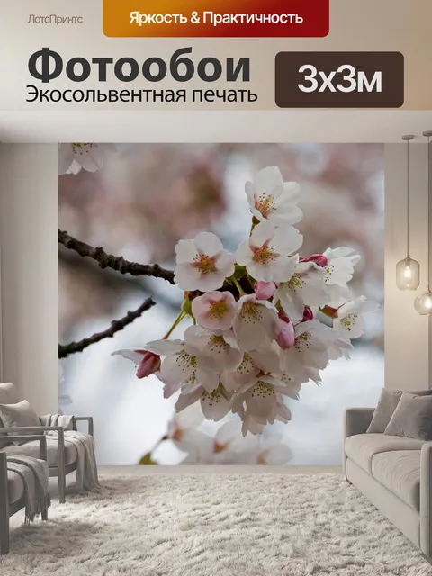 Фотообои Цветут цветы крупным планом