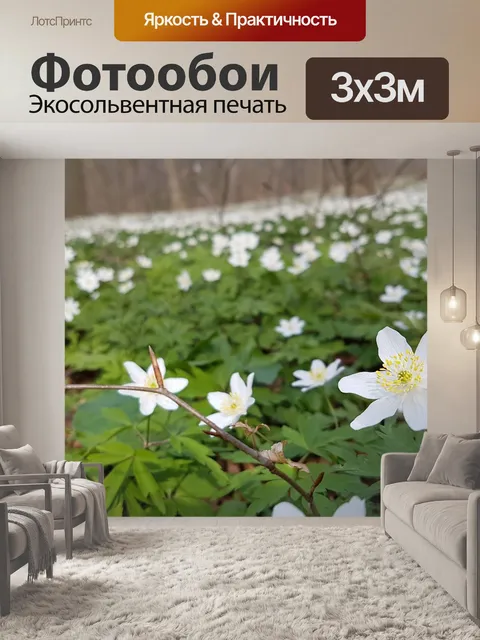Фотообои Древесные анемоны