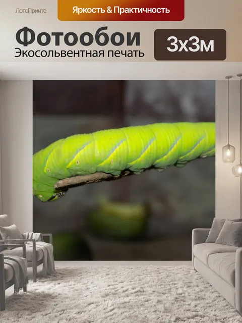 Фотообои Зеленый
