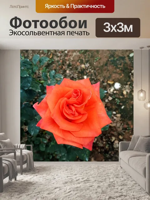Фотообои Розы