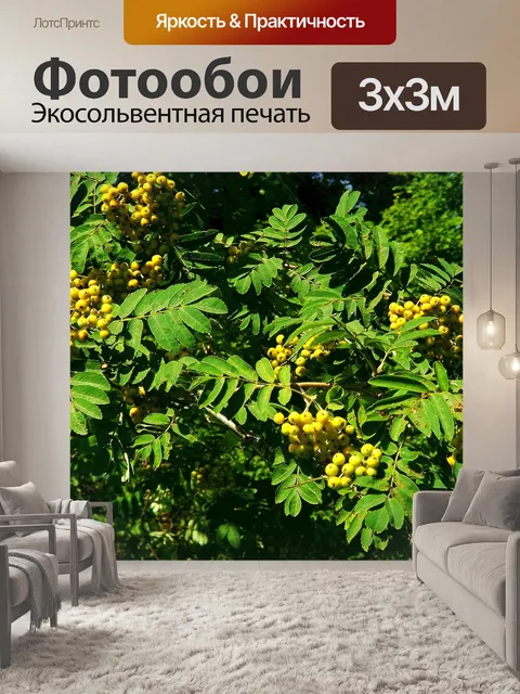 Фотообои Дерево