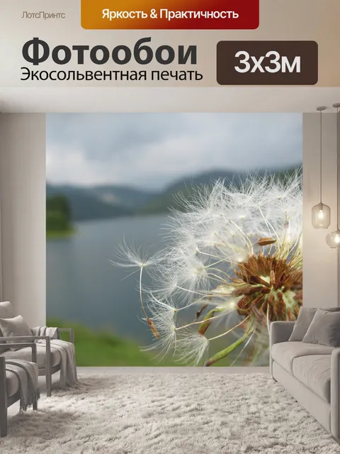 Фотообои Одуванчик